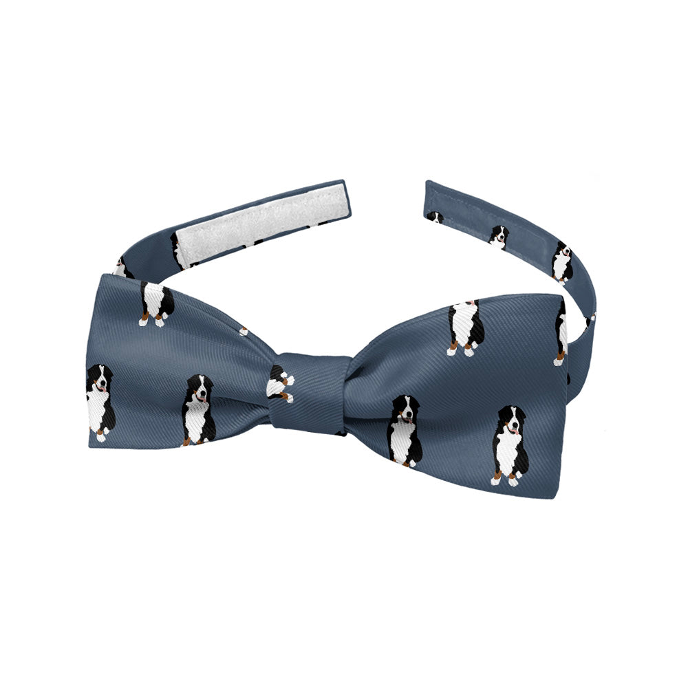 Bernese_Mountain_Dog_5_Baby_Bow_Tie_1578f020-082b-4a4e-bd2c-82af0b9e7eb2