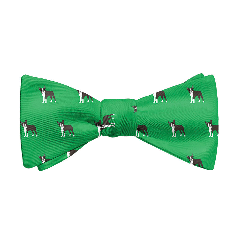 Boston_Terrier_1_Self_Tie_Main_bcd51ec0-4bce-47aa-91d1-f2d540ba79d4