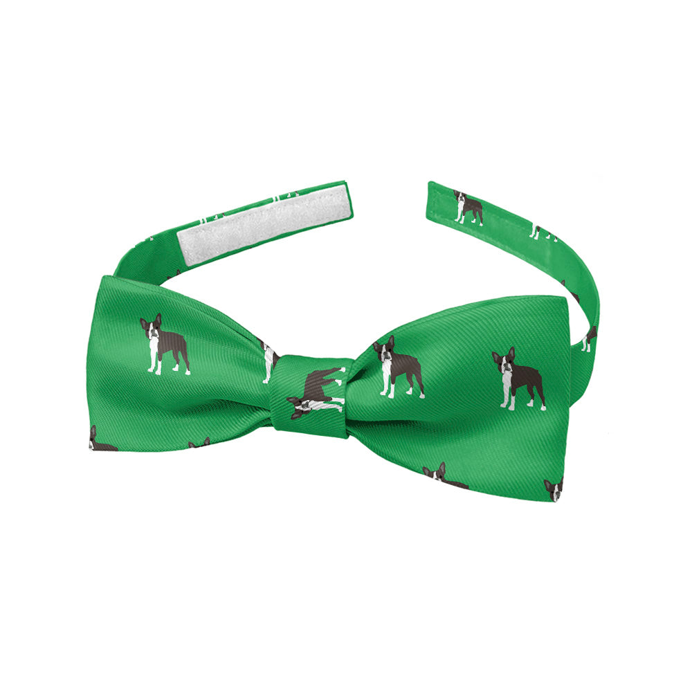 Boston_Terrier_5_Baby_Bow_Tie_a1f39cc1-f94d-4972-a99b-05773a6ba942