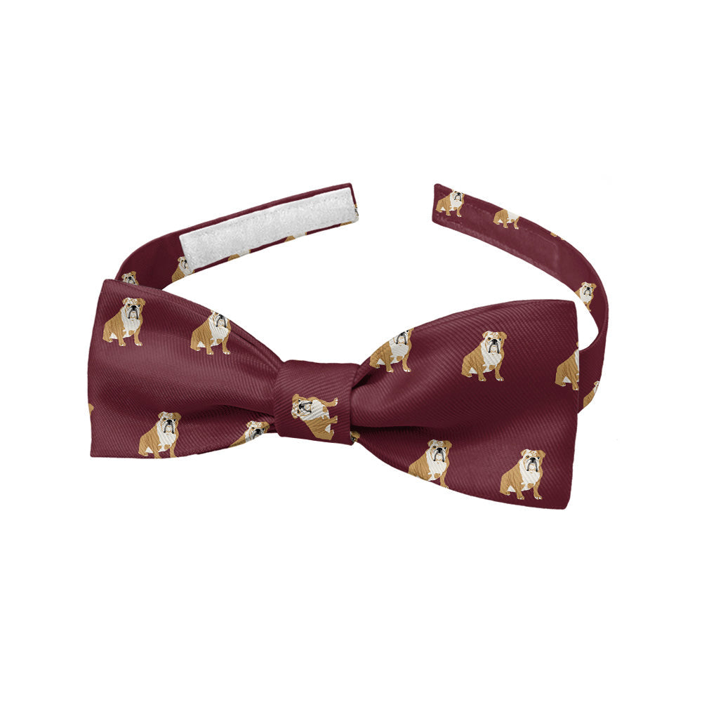 English_Bulldog_5_Baby_Bow_Tie_76963d0f-f689-4a04-bdce-df656e96e80b
