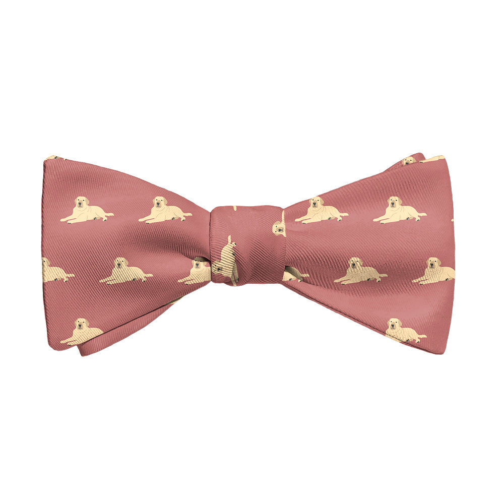 Labrador_Retriever_1_Self_Tie_Main_534e548a-fb58-4fb0-950a-358f5e008212