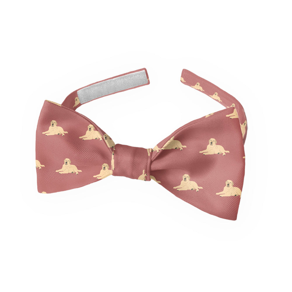 Labrador_Retriever_4_Kids_Bow_Tie_5170bead-f4eb-4660-962f-71fd53d7748e