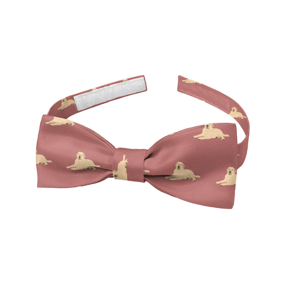 Labrador_Retriever_5_Baby_Bow_Tie_c2fbe7cc-d29e-4ff8-bf2e-bce5cde8a153