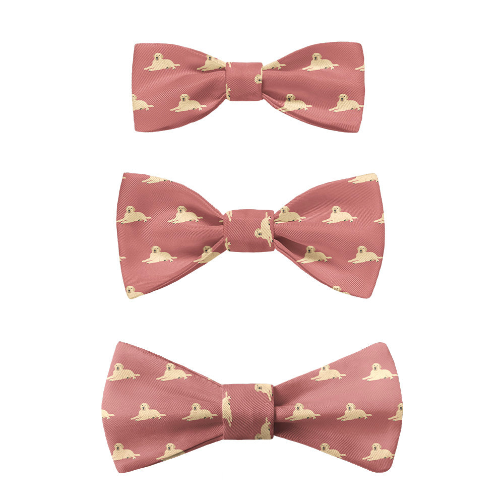 Labrador_Retriever_6_Bow_Tie_Sizes_9e1b8768-c5ff-4cff-98a6-acb15fabf84e