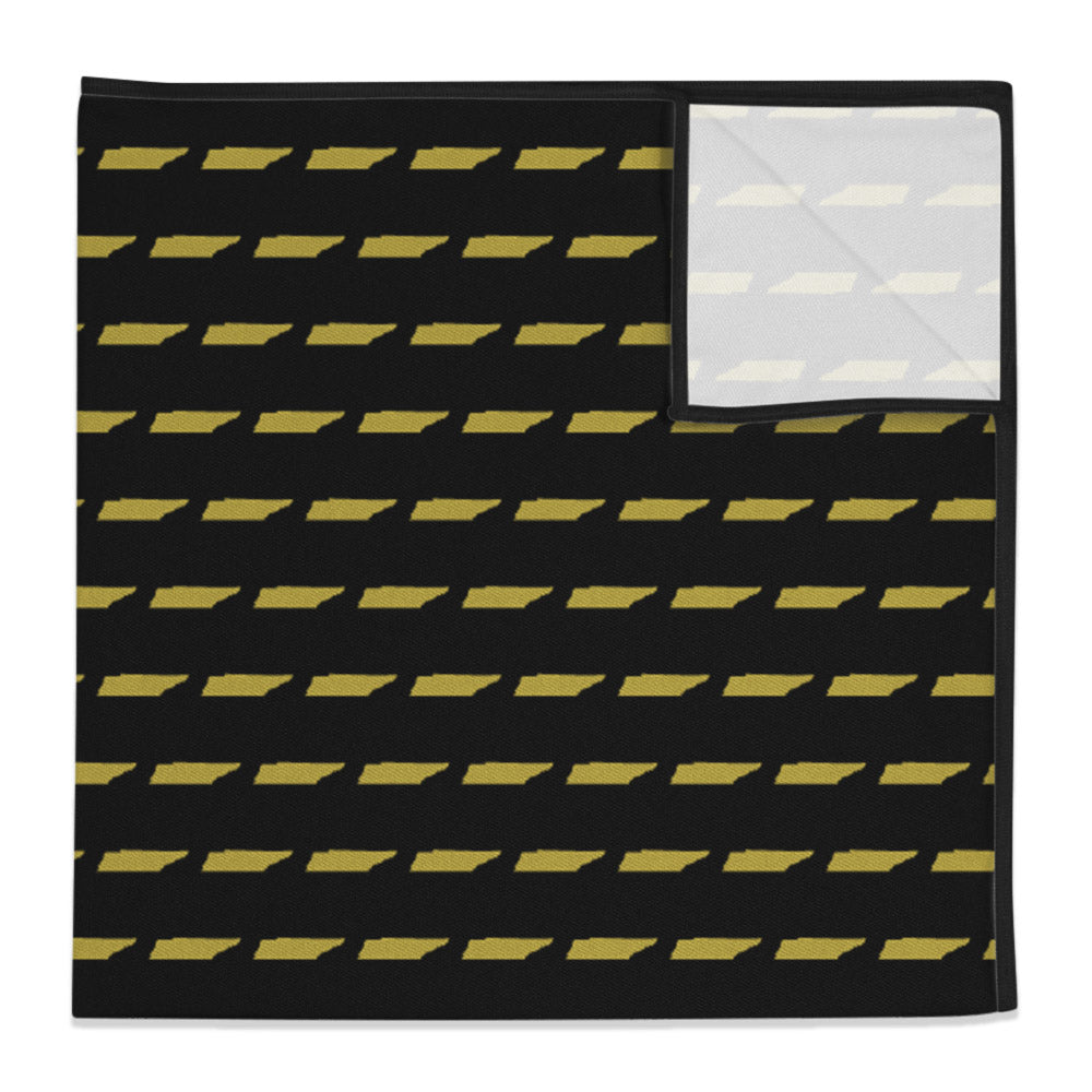 PSquare_1__TennesseeStateOutline