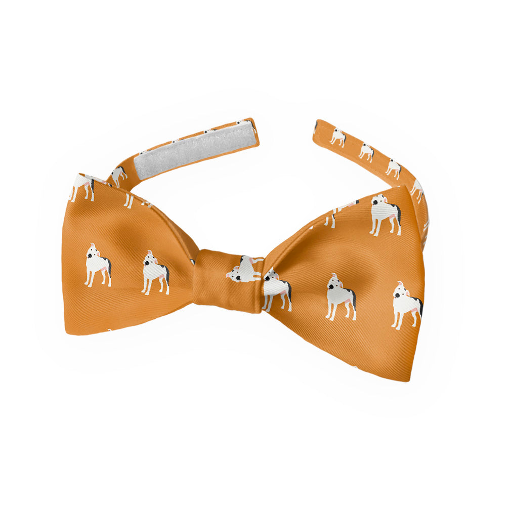 Pitbull_4_Kids_Bow_Tie_489f7de0-2da7-4486-845b-100bb8b1e142
